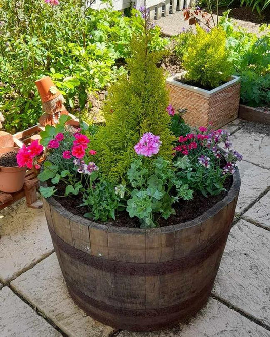 Oak whiskey barrel planters