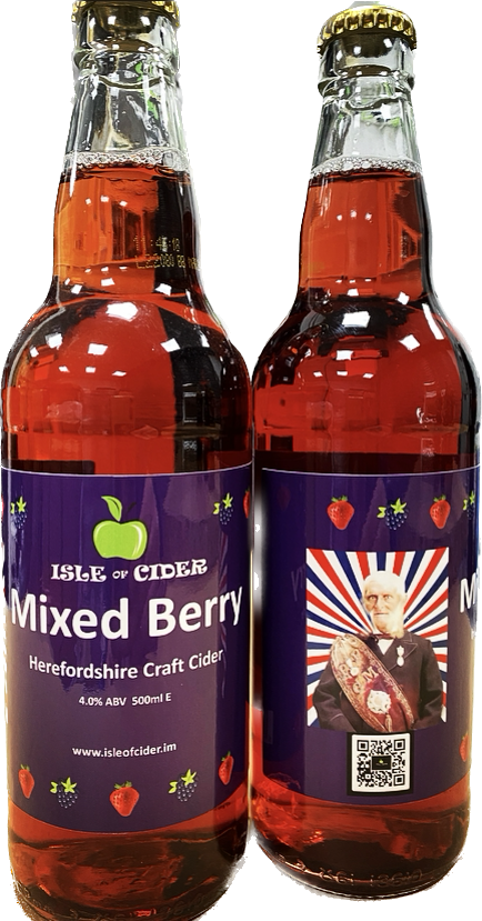 Mixed Berry by Isle of Cider Single Bottle